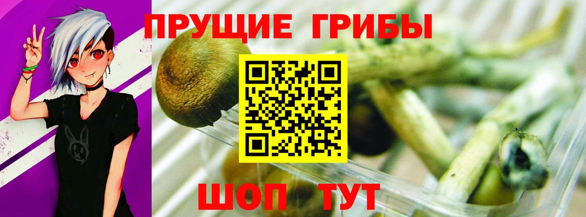 Галлюциногенные грибы мицелий Черкесск