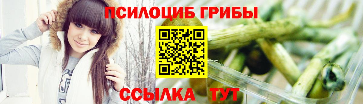 Черкесск  Псилоцибиновые грибы ЛСД  Вход с VPN 